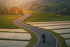 Cari Aman di Hari Kasih Sayang, Pakai Helm Jadi Cara Termudah Mencintai Diri dan Keluarga