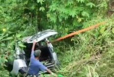 Mobil MPV Terperosok ke Kebun Warga di Exit Tol Pekalongan, Diduga Hilang Kendali