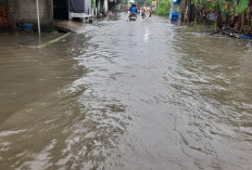 Banjir Kepung Wilayah Petarukan Pemalang