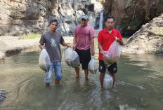 9.800 Benih Ikan Ditebar di Sungai Kumisik dan Arus Tegal, Lestarikan Ekosistem Perairan Bumijawa