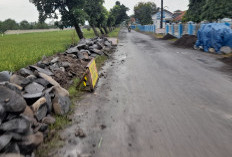 Daftar 13 Ruas Jalan di Petarukan Pemalang yang Diperbaiki Tahun 2026