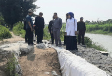 Tanggul Tersisa Satu Meter, Komisi III DPRD Kota Tegal Dorong PSDA Lakukan Penanganan di 2027