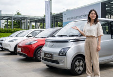 Daftar Mobil Listrik Keluarga Merek Wuling: Pilihan Paling Populer & Value for Money