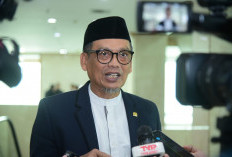 Kabar Gembira! Insentif Guru Honorer Naik Jadi Rp400 Ribu