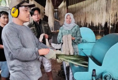 KPwBI Tegal Raih Penghargaan Gegara Sukseskan UMKM Pengolahan Serat Nanas di Pemalang
