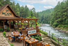Tempat Nongkrong Favorit Gen Z, Ini 5 Cafe dengan View Alam Terbaik di Pemalang