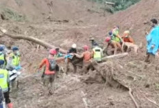 Hari Keenam Pencarian, Tim SAR Temukan Korban Kedua Longsor Desa Bongas Pemalang
