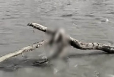 Hanyut Terseret Arus Sungai Glagah, Bocah Asal Belik Pemalang Ditemukan Tak Bernyawa