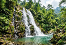 Rekomendasi Wisata Curug di Pemalang Paling Hits dengan Pemandangan yang Masih Alami