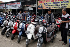 Update Harga Scoopy Bekas: Perbedaan Model Lama Non-eSAF dan Varian Baru, Cek Tahun, Spesifikasi, dan Pasaran 
