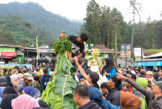 Berebut Gunungan Ruwat Bumi Guci 2026, Ribuan Warga Ngalap Berkah dan Doa Leluhur