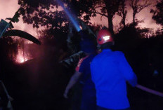 Padamkan 4 Kebakaran Lahan dalam Sehari, Damkar Kabupaten Tegal Berpindah Lokasi Hingga Malam