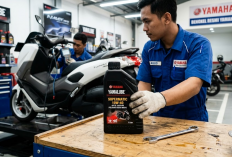 4 Oli Yamaha Matic Terbaik untuk Harian dan Touring, Simak Daftarnya