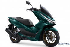 Tampil Makin Mewah, Ini Daftar Warna Baru Honda PCX 160 2026