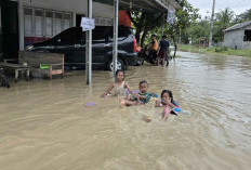 Sungai Comal Meluap, Banjir Genangi Seluruh Desa Pesantren Kecamatan Ulujami