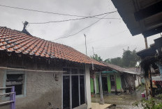 Hujan Terus Guyur Pemalang, BPBD Minta Warga Waspada Bencana Hidrometeorologi