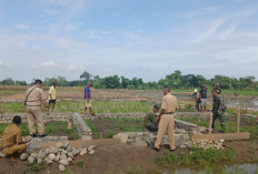 KDMP Kesadikan Tegal, Harapan Baru Kebangkitkan Ekonomi Desa