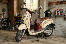 Honda Scoopy Bekas di Bawah Rp12 Juta, Masih Worth It Buat Kerja? Ini Kelebihan, Kekurangan, dan Tips Membeli