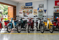 5 Motor Bebek Langka Buat Investasi 2026: Nilai Koleksi Tinggi & Harga Makin Melambung!