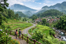 Gak Cuma Kulineran! Ini Tempat Wisata di Sekitar Tegal yang Bikin Betah dan Ogah Pulang