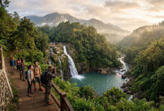 10 Wisata Alam di Batang yang Indah, Ada Pantai, Curug dan Kebun Teh