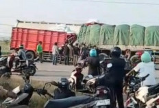 Kecelakaan Truk Trailer Tabrak Colt Diesel di Pantura Ujunggede Pemalang, 1 Korban Luka