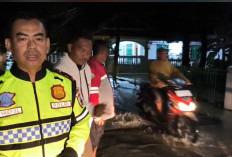 BREAKING NEWS! Sungai Kaligangsa Brebes Meluap, Air Masuk Pemukiman Warga