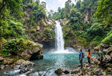 3 Rekomendasi Wisata Curug di Pemalang Paling Hits dengan Pemandangan Alami Menyejukkan!
