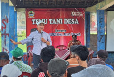 Ajarkan Cara Beternak Ayam Kampung, Sumanto: Cukup Sepuluh Betina dan Satu Jantan