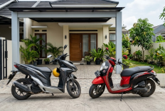 Bukan Cuma BeAT, Ini 5 Daftar Motor Matic Honda Bekas Terbaik untuk Kurir Paket dan Ojol