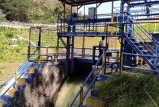 Masa Tanam II, Debit Air Waduk Malahayu Brebes Aman