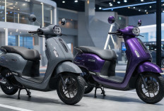 Honda Stylo 160 2026: Penyegaran Warna, Spesifikasi, & Harga OTR
