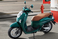 Honda Scoopy 2026 Terbaru: Cek Harga OTR, Pilihan Warna, dan Spesifikasi Lengkap!