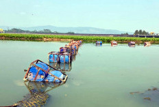 Waduk Mrica Banjarnegara Kritis, Sedimentasi 90 Persen Ancam Irigasi Petani 
