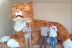 Ikon Baru D'Las Purbalingga, Maskot Kucing Oyen Siap Manjakan Wisatawan