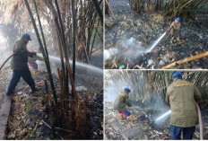 Sehari Tiga Kali Terjadi, Kasus Kebakaran di Kabupaten Tegal Kian Marak