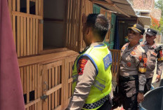 Penggerebekan Judi Sabung Ayam di Wangandawa Tegal, 1 Orang Diamankan