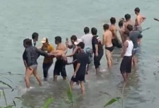 Geger! 2 Anak Meninggal usai Tenggelam di Sungai Comal Pemalang saat Cuci Jeroan Kurban