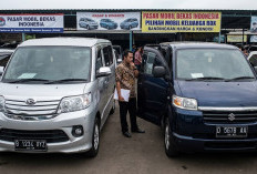 Luxio vs APV Arena Bekas untuk Usaha dan Keluarga, Mana yang Lebih Worth It?