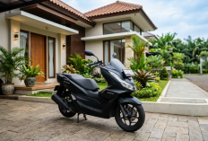 Update Harga Honda PCX 160 Bekas di Tegal, Tipe ABS dan CBS Lengkap