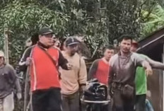 Satu Korban Longsor di Pemalang Ditemukan Tewas, Pencarian Masih Berlanjut