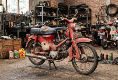 Daftar Motor Bebek Lawas Bekas yang Harganya Masih Tinggi, dari Astrea Grand hingga F1ZR