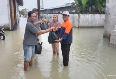 Sidaharja Tegal Dikepung Banjir Sepekan, DPRD Desak Penanganan Serius