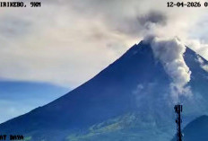 Gunung Merapi Siaga, Sepekan 7 Kali Terjadi Awan Panas Guguran