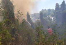 Lahan Kering Terbakar di Lebaksiu Tegal, Dua Pabrik Nyaris Terpapar Api