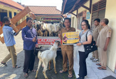 Doni Akbar Salurkan 126 Hewan Kurban di Dapil Jateng X, Warga Pemalang Terharu