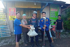 Bikin Kaget! Ular Masuk ke Rumah Warga di Slerok Tegal, Damkar Langsung Turun Tangan