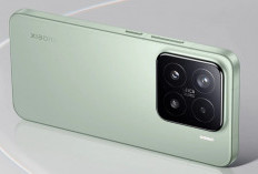 Rekomendasi HP Android Mini Spek Tinggi: Nyaman Digenggam, Chipset Kencang, & Kamera Jernih