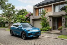 Mulai Rp199 Juta, Ini 5 Daftar Mobil Listrik BYD Murah 2026