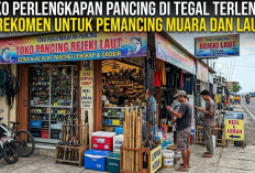 3 Toko Perlengkapan Pancing di Tegal Terlengkap, Rekomen untuk Pemancing Muara dan Laut